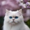 A serene portrait of a white Persian cat with captivating blue eyes2