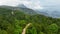 Serene Rainforest: Aerial Journey Through the Untouched Forest After Rain