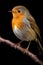 Serene Robin Perching Peacefully, a Delicate Display of Nature's Grace - Generative AI