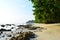 Serene Rocky Beach with Lush Green Mangroves on Bright Sunny Day - Vijaynagar, Havelock Island, Andaman, India