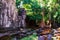 Serene ruins: Ancient remnants of the Khmer civilization in the Cambodian forest, painting a picturesque landscape