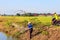 A Serene Rural Landscape of Farms