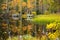 Serene Scandinavian autumn landscape of Southern Finland, Espoo.