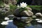 A serene scene of a white water lily afloat on tranquil water, surrounded by zen stones rocks, exuding a spa picturesque and