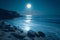 Serene sea, bright full moon night, captivating coastal landscape view