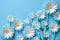 Serene Sea of Daisies: Fondant Florals Adrift on a Calming Azure Canvas. Generative AI