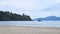 Serene Seascape with Still Bue Waters, Sandy Beach, Trees, and Clear Sky - Chidiya Tapu, Port Blair, Andaman Nicobar island, India