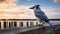 Serene Seascapes: A Captivating Blue Jay On An Old Pier