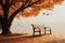 Serene setting park bench beneath an autumn tree with fallen leaves