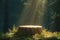 Serene setting wooden table podium standing alone in the forest