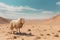 Serene sheep finds solace in the barren desert