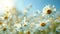 Serene Spring Meadow: Blossoming Daisies on Blurred Background under Blue Sky