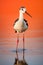 Serene Stilt Bird at Sunset: A Beautiful Reflection on Calm Waters - Generative AI