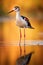 Serene Stilt Bird at Sunset: A Beautiful Reflection on Calm Waters - Generative AI