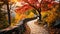 A serene stone path winds through the woods, guiding to a majestic forest filled with lush trees, Vibrant autumn foliage covering