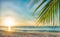 Serene summer beach scene with palm leaves, sand, and sea