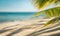 Serene summer beach scene with palm leaves, sand, and sea