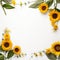 Serene Sunflower Border Pristine Beauty