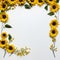 Serene Sunflower Border Pristine Beauty