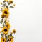 Serene Sunflower Edges Clean Copy Area