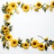 Serene Sunflower Frame Unbounded Beauty