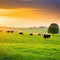 Serene sunrise over green meadow landscape with peaceful of cow and grazing cattle and wildlife in rural