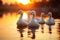 Serene Sunset with Graceful Swans on Lake, AI Generated