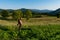 Serene Sunset Harvest: Farmer Taming the Tall Grass with Trimmer in Vegetable Garden