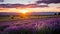 Serene Sunset over Lavender Field