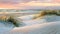 Serene Sunset on Sandy Beach with Graceful Dunes and Sea Grass