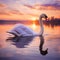 Serene Swan Gliding Across a Glistening Lake at Sunset