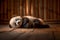 A serene sweet sleeping baby panda, lying on a wooden floor