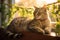 Serene Tabby Cat Lounging on Windowsill with Vines