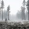 Serene Taiga Forest: Hyperrealistic Landscapes Of Frosty Finland