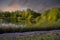 Serene Texas Bluebonnet Field With Pond Reflections