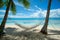 Serene Tropical Beach Paradise with Hammock Between Palms