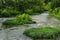 Serene View of the Roanoke River