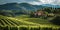 Serene vineyard landscape with rolling hills and a cozy villa. scenic beauty in nature, idyllic countryside living
