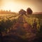 Serene Vineyard at Sunset with Barn in Background