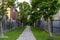 Serene walkway - flanked by weathered wooden fences and lush green trees - leads between two brick buildings