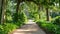 A serene walkway meandering through a lush landscape of green trees and plants, A grand cypress walkway in a vibrant park during