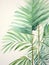 Serene Watercolor Palm Frond Leaves AI Generated