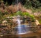 Serene Waterfall with Rainbow in Lush Green Forest