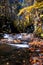 Serene waterfalls flow gently over rocks adorned with Autumn leaves