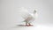Serene white dove in a minimalist setting symbolizes peace. graceful bird, pure and elegant design. perfect for diverse