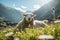 Serene White Sheep peacefully lying down in a lush green meadow on a bright summer day