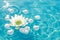 Serene white water lily floats on a clear blue water surface, surrounded by heart-shaped bubbles reflecting sunlight