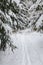 A serene winter landscape with trees covered in snow