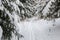 A serene winter landscape with trees covered in snow