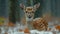 Serene Winter Scene with Snow-Covered Deer in Forest by Generative A.I